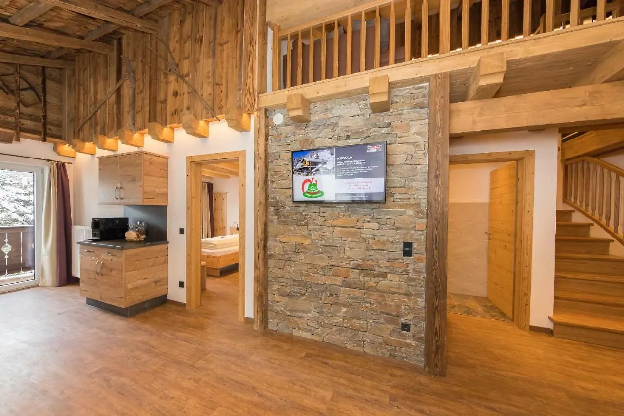 Appartement Berghof Saalbach-Hinterglemm Apartment