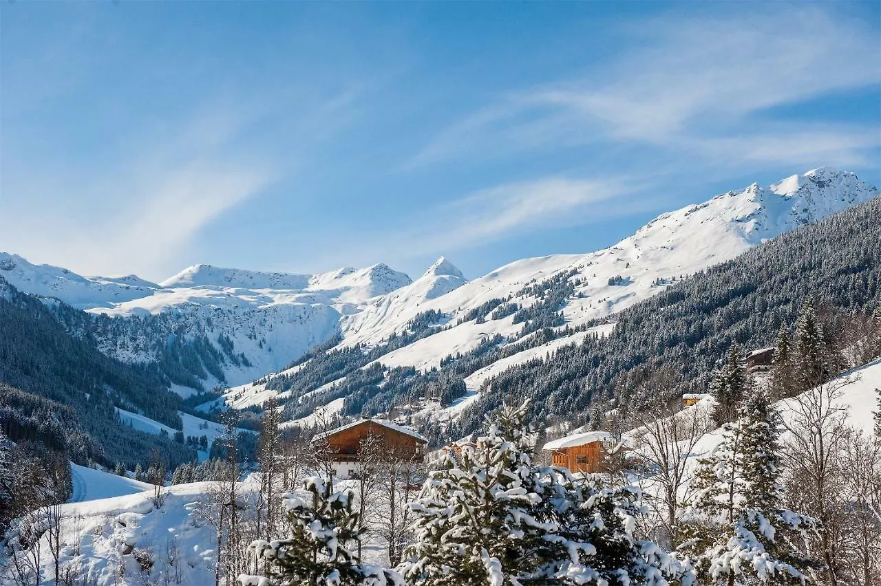 Appartement Berghof Saalbach-Hinterglemm 0*,